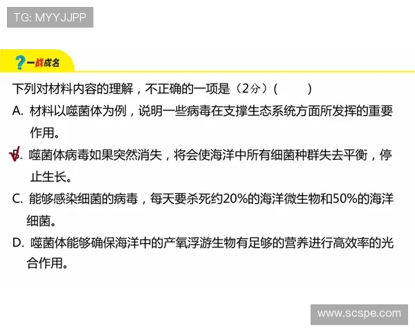 高效棒球训练计划的制定与执行方案