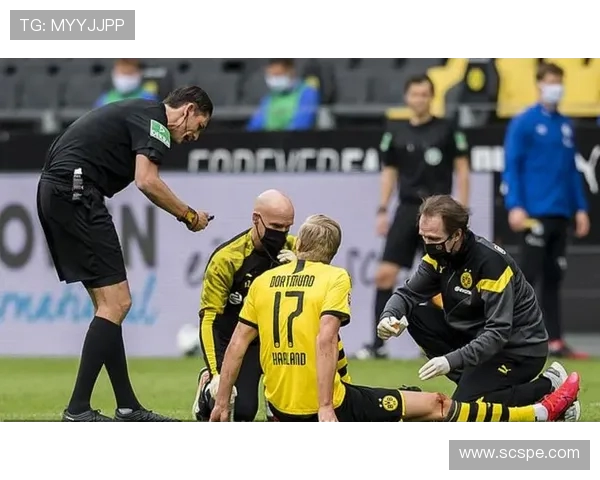 哪些球队值得期待回归德甲?强队重建之路分析 哪些球队值得期待回归德甲?强队重建之路分析