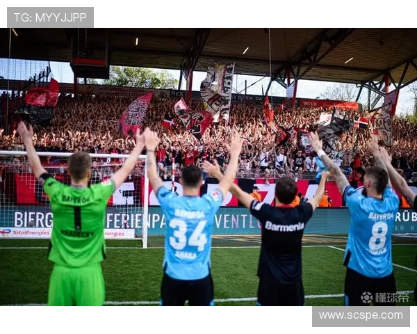 德甲球队高清照片集锦及球场风貌展示