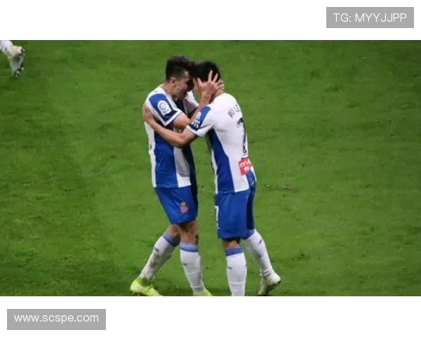 英超球队转会市场分析:2017赛季的转会动态 . 英超球队转会市场分析:2017赛季的转会动态 .